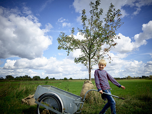 PROJEKT: Imagereportage Mundraub KUNDE: 50 Hertz Transmission GmbH